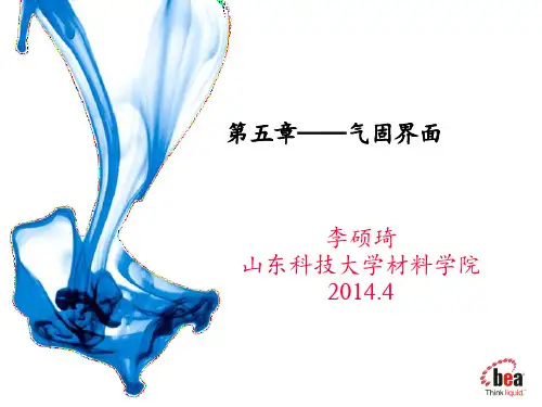 第5章-气固界面-2异相催化
