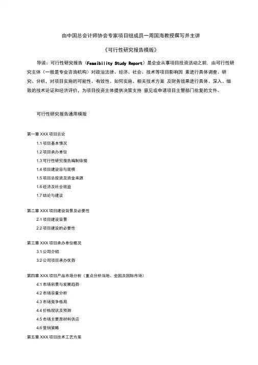 可行性实施报告模板及说明