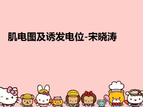 【精品】肌电图及诱发电位-宋晓涛精编版