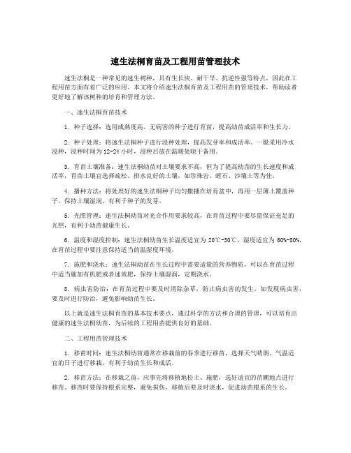 速生法桐育苗及工程用苗管理技术
