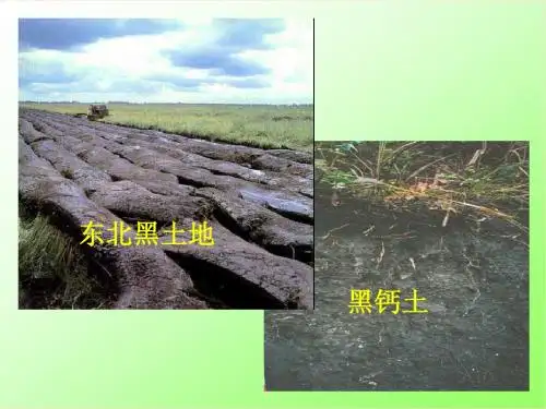 3.2各种各样的土壤