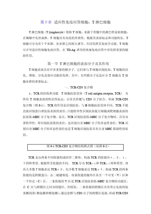 第十章适应性免疫应答细胞：T淋巴细胞