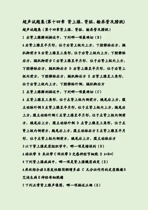 超声试题集(第十四章 肾上腺、肾脏、输尿管及膀胱)