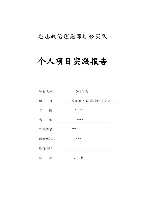 思政理论综合实践