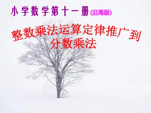 整数乘法运算定律推广到分数乘法PPT优质课件