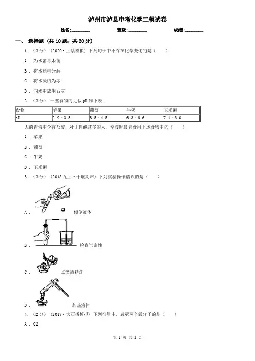泸州市泸县中考化学二模试卷