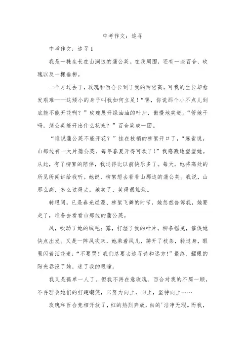 中考作文：追寻