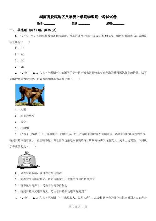 湖南省娄底地区八年级上学期物理期中考试试卷