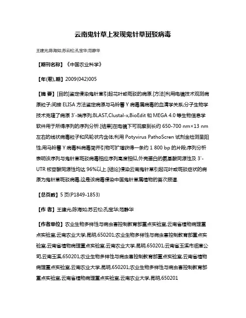 云南鬼针草上发现鬼针草斑驳病毒