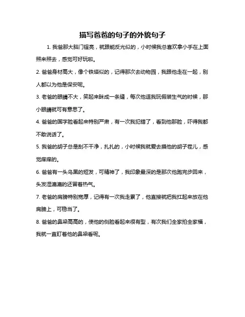 描写爸爸的句子的外貌句子
