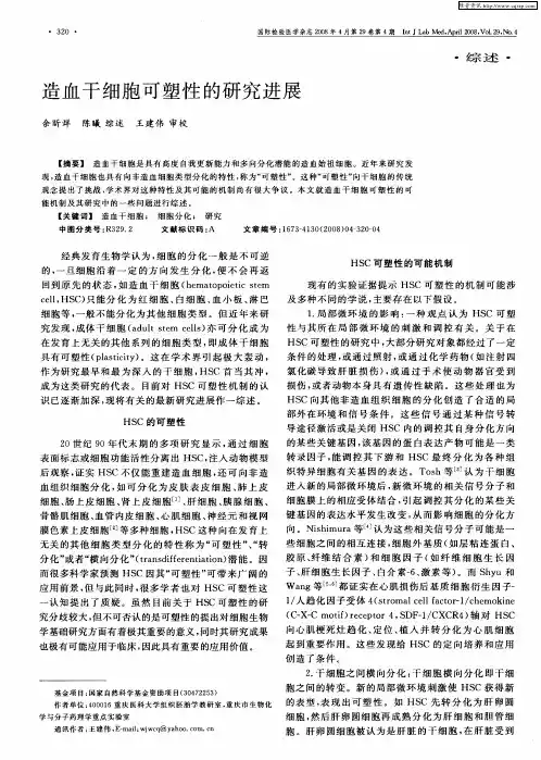 造血干细胞可塑性的研究进展