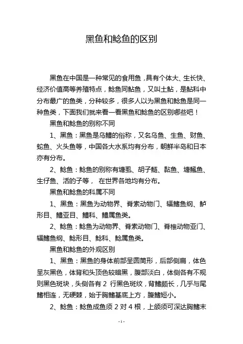 黑鱼和鲶鱼的区别