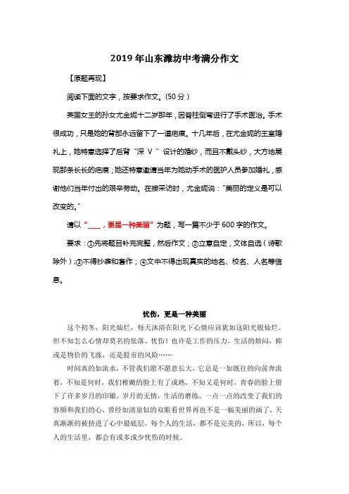 2019年山东潍坊中考满分作文《忧伤,更是一种美丽》