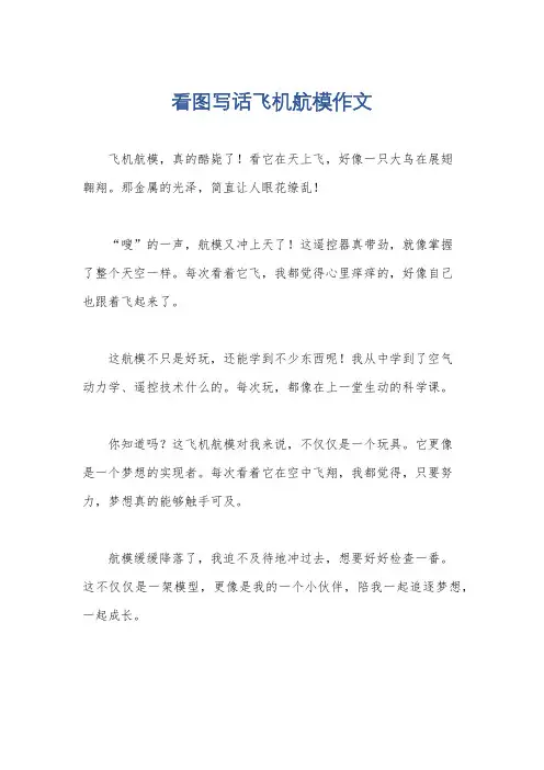 看图写话飞机航模作文