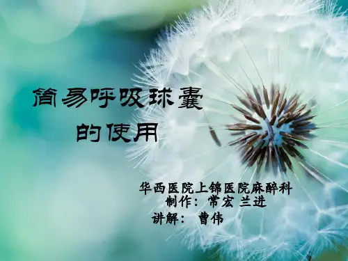 简易呼吸球囊使用
