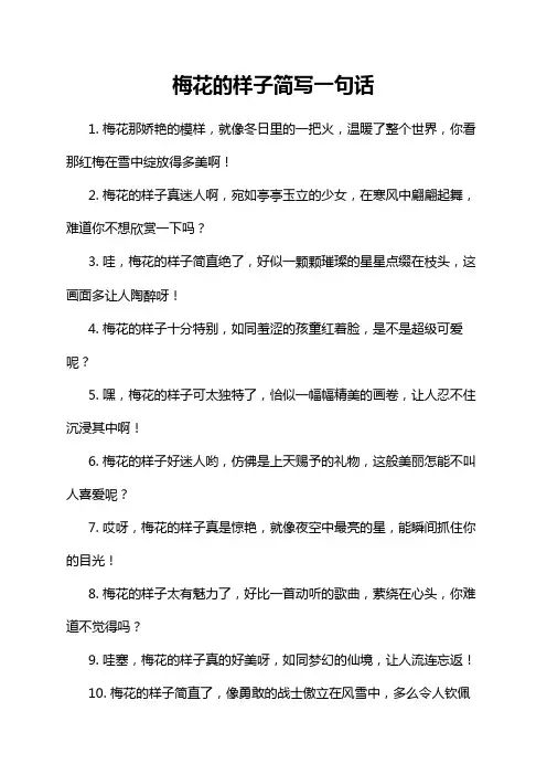 梅花的样子简写一句话
