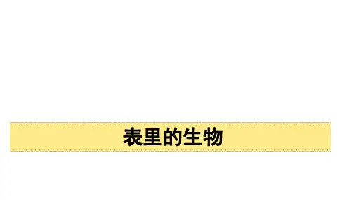 部编版六年级语文下册16表里的生物课件(共31张PPT)