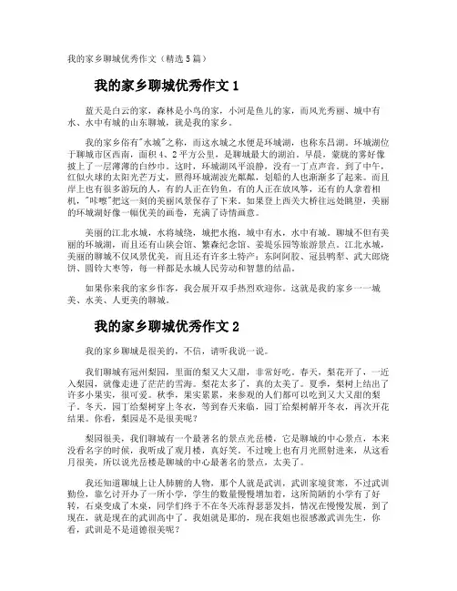 我的家乡聊城优秀作文