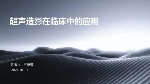 超声造影在临床中的应用PPT
