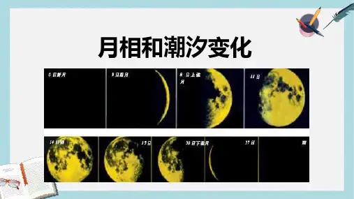 人教版高中地理选修一2.3《月相和潮汐变化》ppt课件1