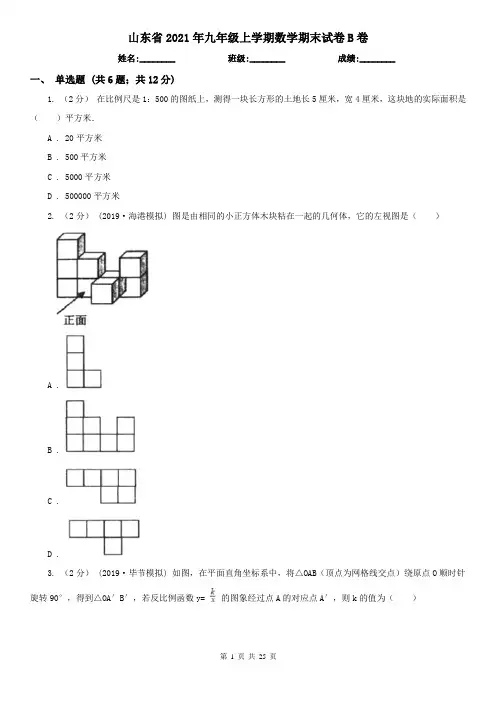 山东省2021年九年级上学期数学期末试卷B卷