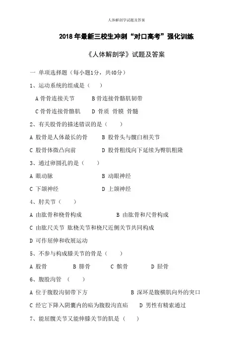 人体解剖学试题及答案