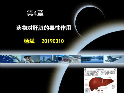 药物对肝脏的毒性作用课件-PPT文档资料