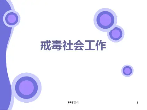 戒毒社会工作  ppt课件