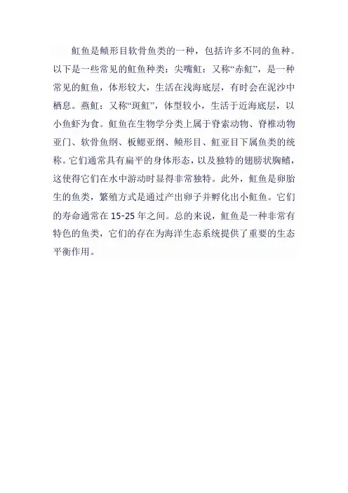 魟鱼鱼种论述