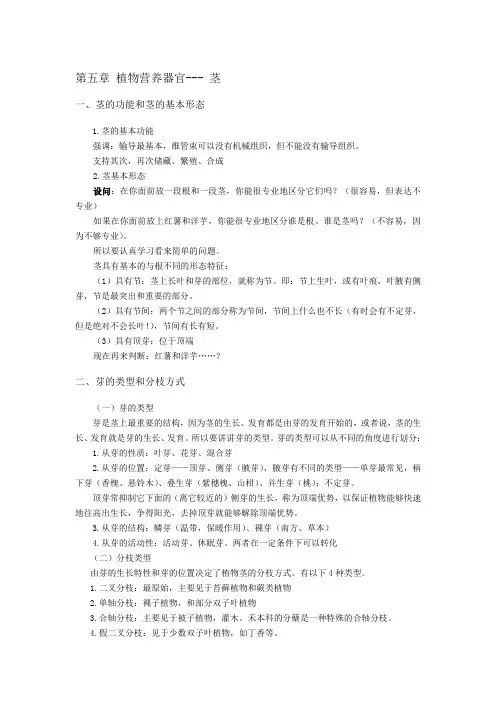 第五章 植物营养器官--茎