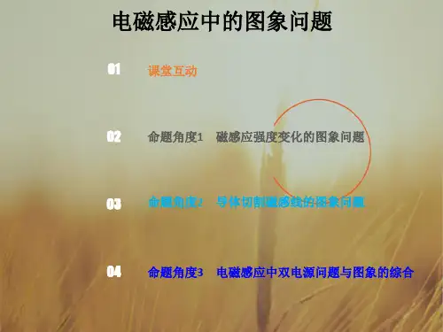 2019版总复习高中物理课件：第十章 电磁感应10-3-1-电磁感应中的图象问题-x 精品