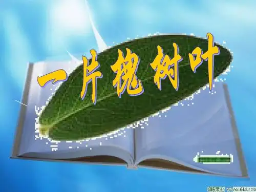 一片槐树叶课件