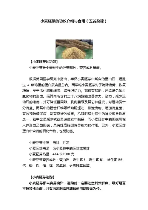 小麦胚芽的功效介绍与食用（五谷杂粮）