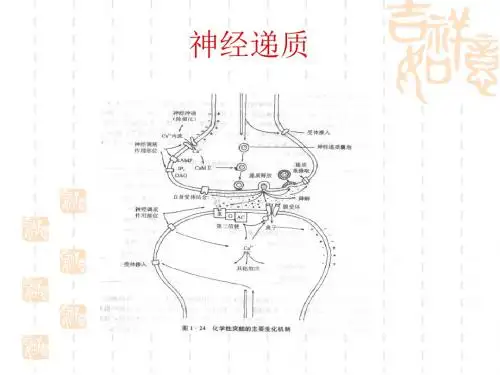 生理心理学第一章C
