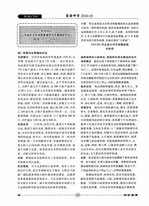 一例蛋鸡血管瘤的诊治