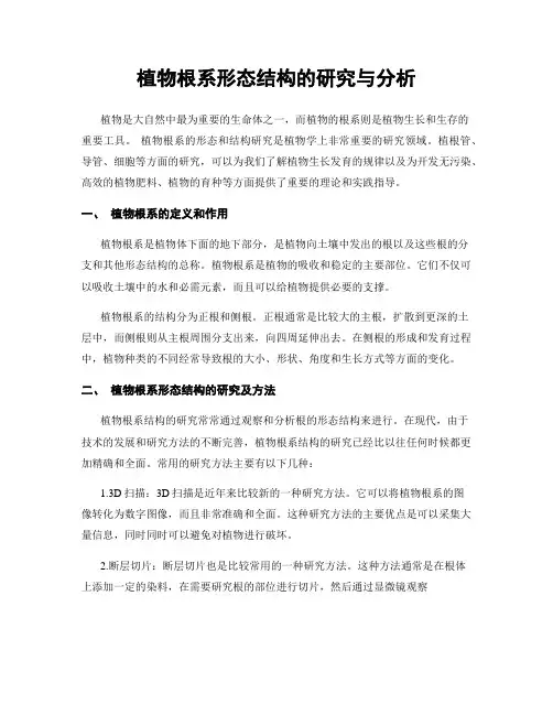 植物根系形态结构的研究与分析