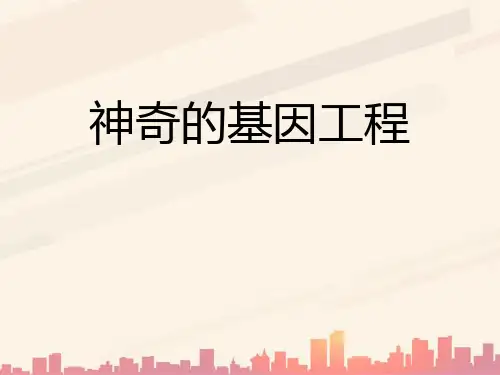 湘教版科学五下4.3《神奇的基因工程》ppt课件2