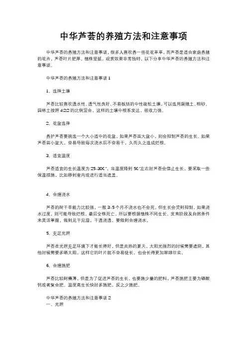 中华芦荟的养殖方法和注意事项