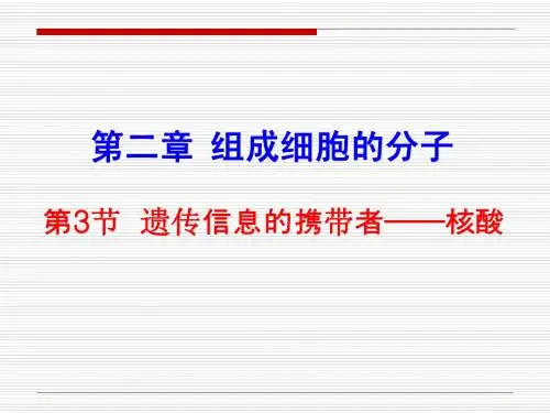 2010届高三生物精品课件：第二章  第三节 遗传信息的携带者—核酸