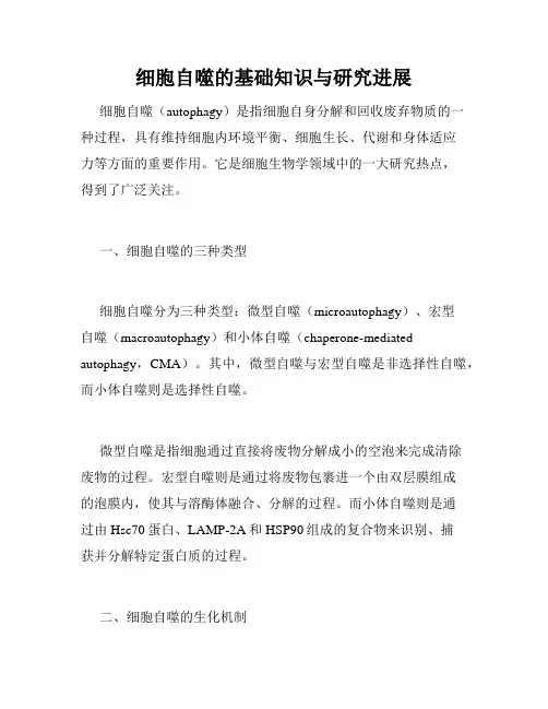 细胞自噬的基础知识与研究进展
