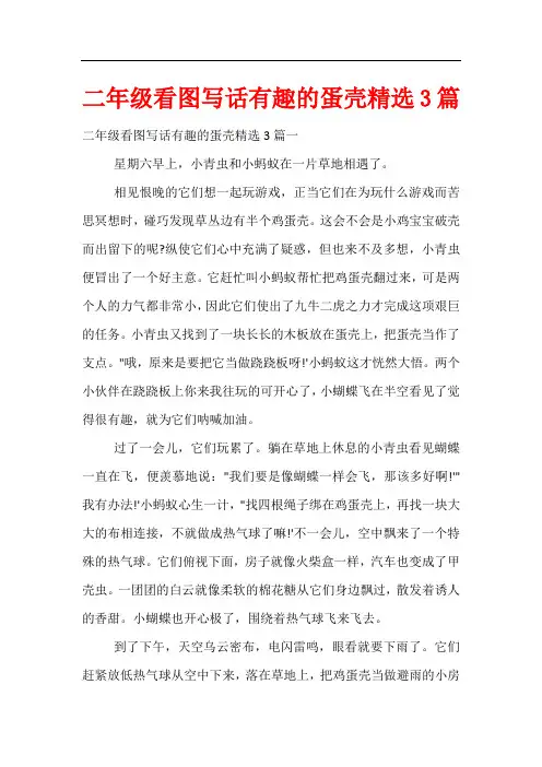 二年级看图写话有趣的蛋壳精选3篇