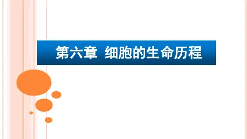 6.1细胞的增殖-课件-人教版高中生物必修一