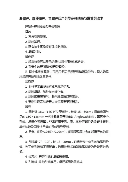 肝脓肿、腹部脓肿、肾脓肿超声引导穿刺抽吸与置管引流术