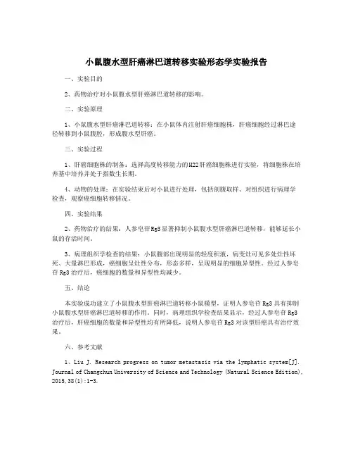 小鼠腹水型肝癌淋巴道转移实验形态学实验报告