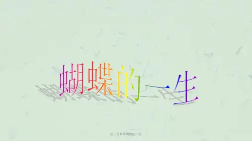 幼儿园科学蝴蝶的一生课件