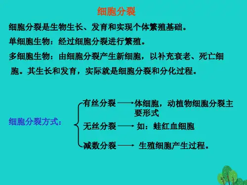 高中生物第二册第7章细胞的分裂和分化全国公开课一等奖百校联赛微课赛课特等奖PPT课件