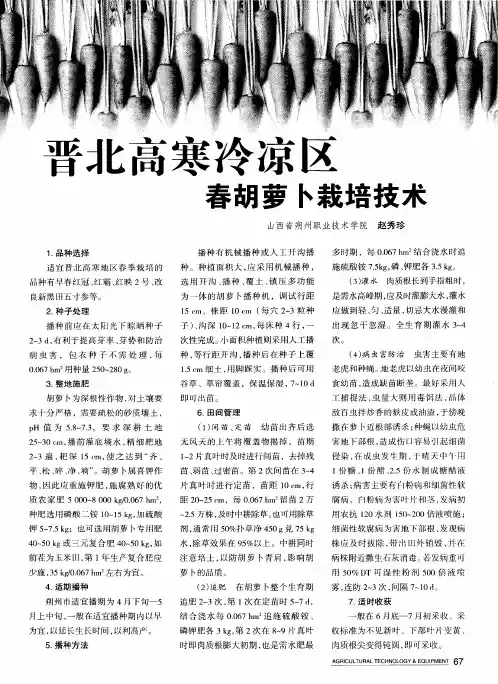 晋北高寒冷凉区春胡萝卜栽培技术