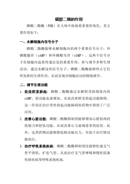 磷酸二酶的作用