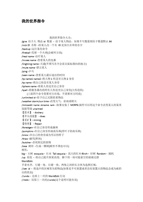 我的世界指令