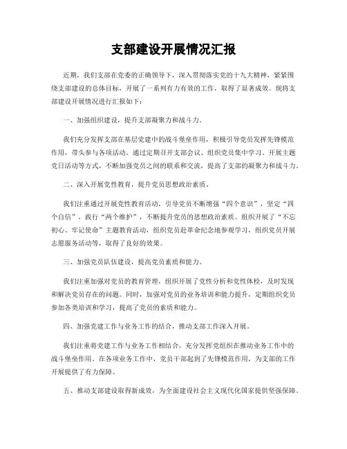 支部建设开展情况汇报
